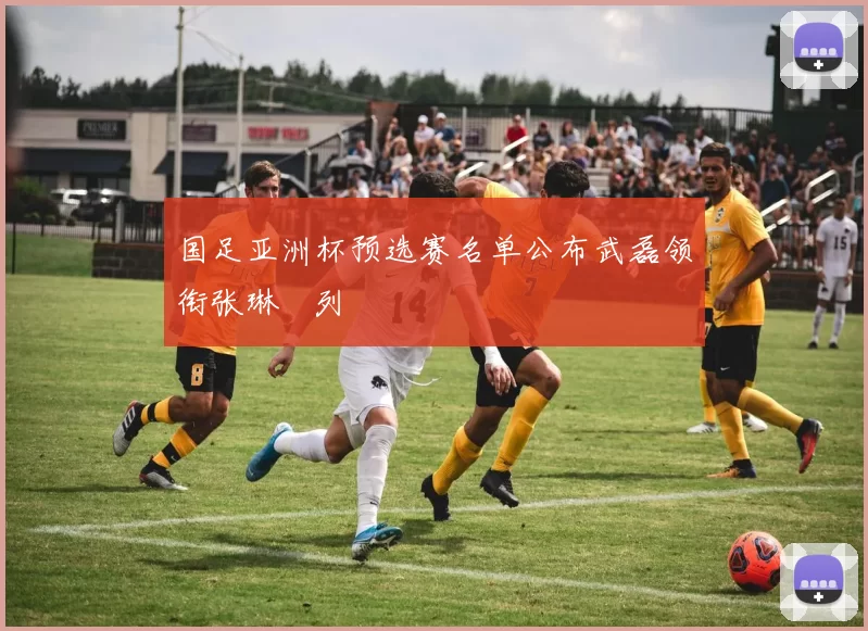国足亚洲杯预选赛名单公布武磊领衔张琳芃列
