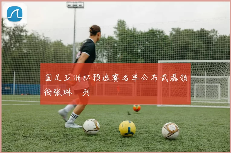 国足亚洲杯预选赛名单公布武磊领衔张琳芃列
