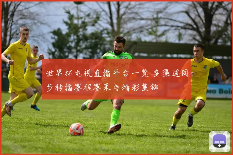世界杯电视直播平台一览 多渠道同步转播赛程赛果与精彩集锦