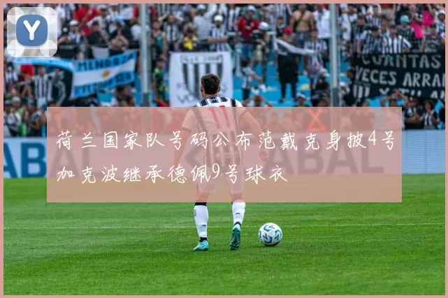 荷兰国家队号码公布范戴克身披4号加克波继承德佩9号球衣
